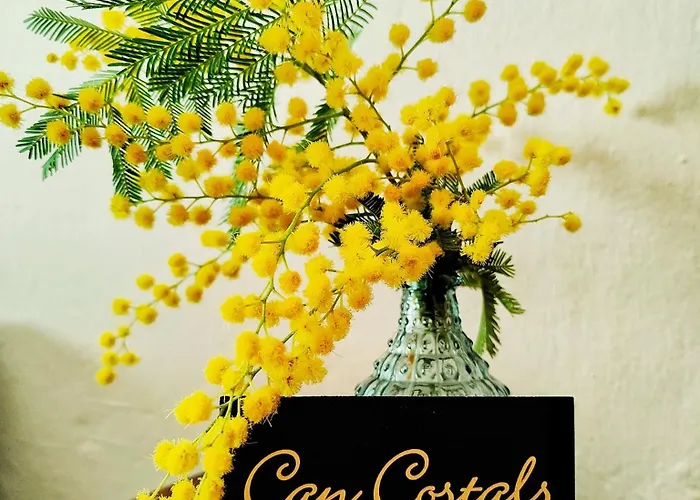 公寓 Costals Cerezo 帕尔斯