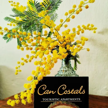 Apartment Costals Cerezo Pals