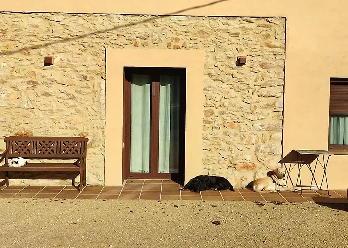 Costals Cerezo * Pals