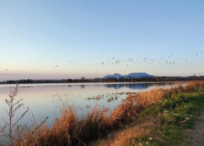 Costals Cerezo Lejlighed