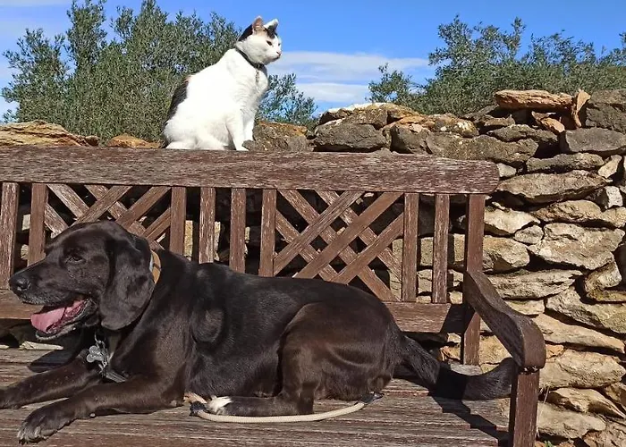 Lejlighed Costals Cerezo *