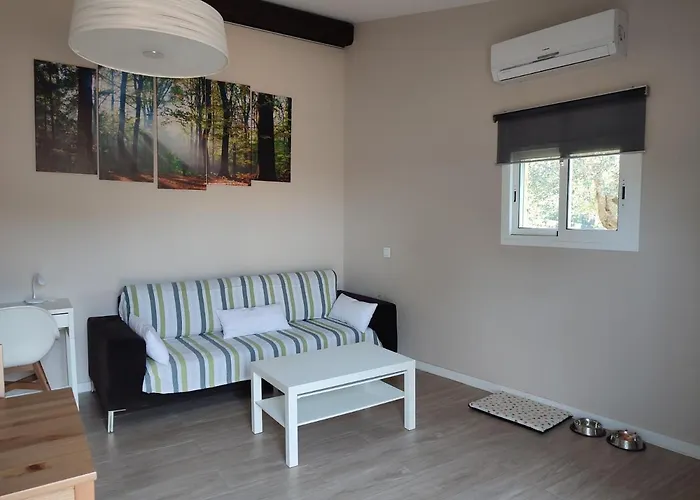 Costals Cerezo * Pals